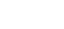 New Model logo